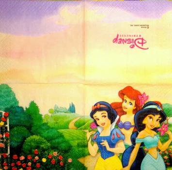 245 Mädchen - 2-ply - Disney Princess - CS